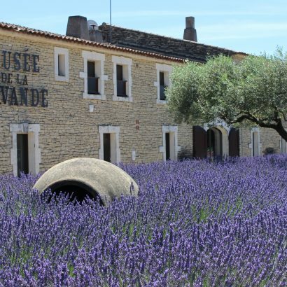 Sensory Watercolour and Aromatic Lavender Sachet Workshops at the Lavender Museum