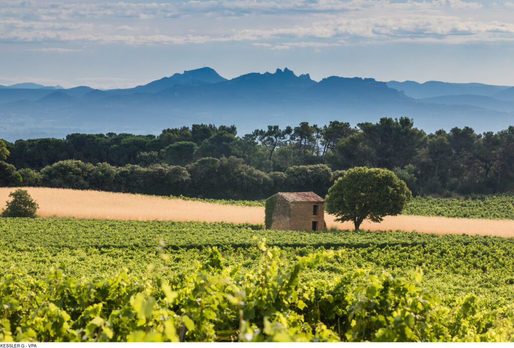 Jour 2 : Châteauneuf du Pape et Orange