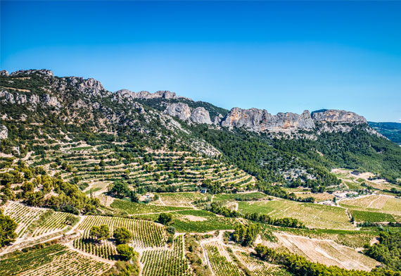 Les-activites-oenoutouristiques