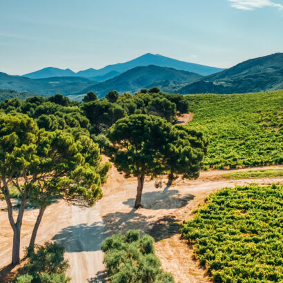 Réouverture du Domaine de Coyeux