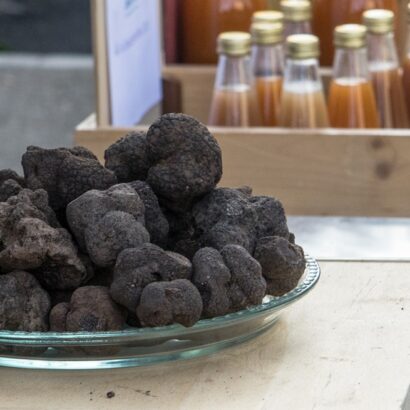 Organise a truffle hunting excursion