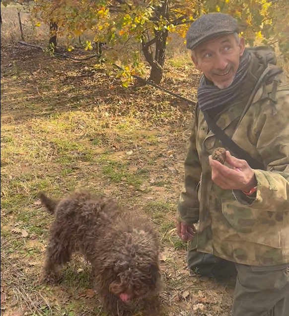 caver la truffe dans le l'Enclave des Papes 